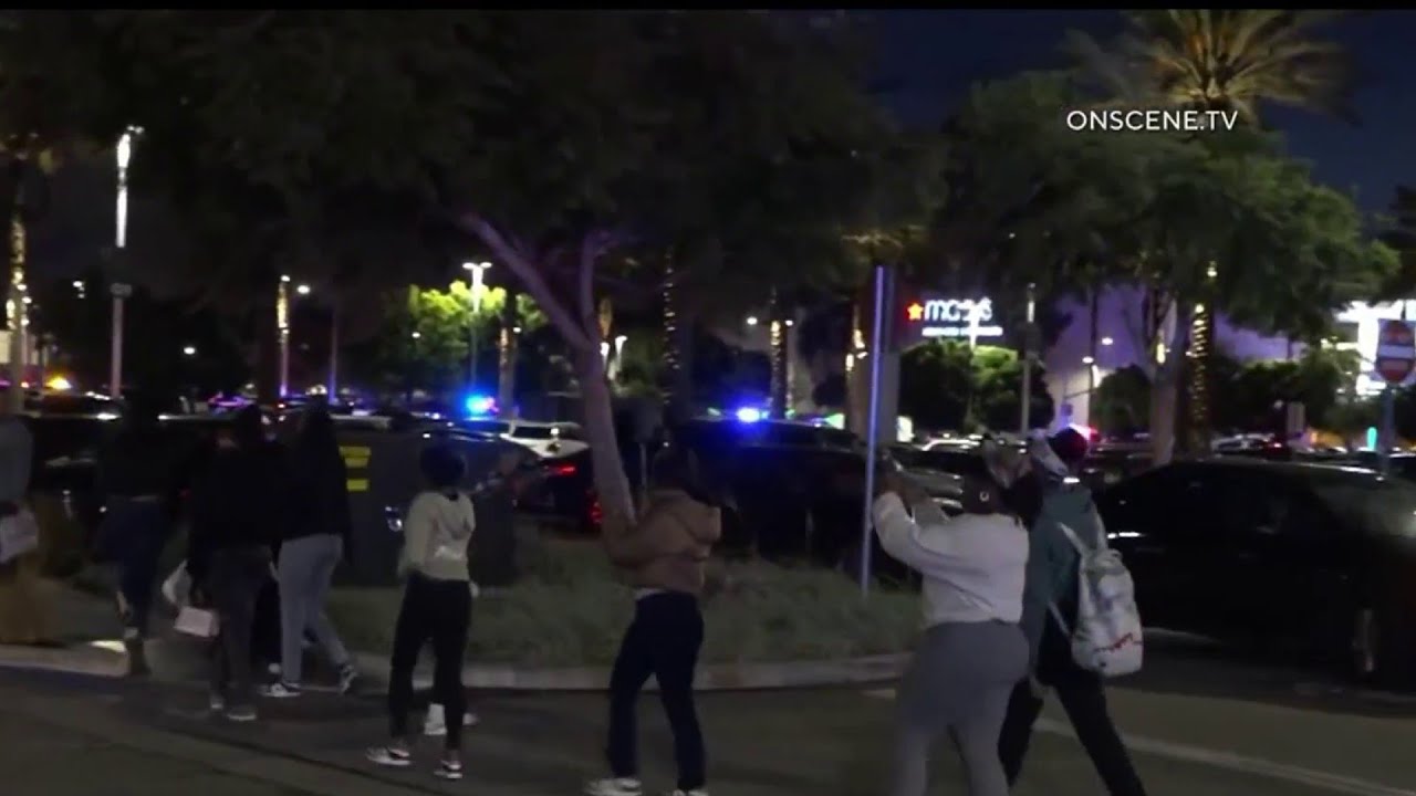 Fight Shuts Down Del Amo Fashion Center