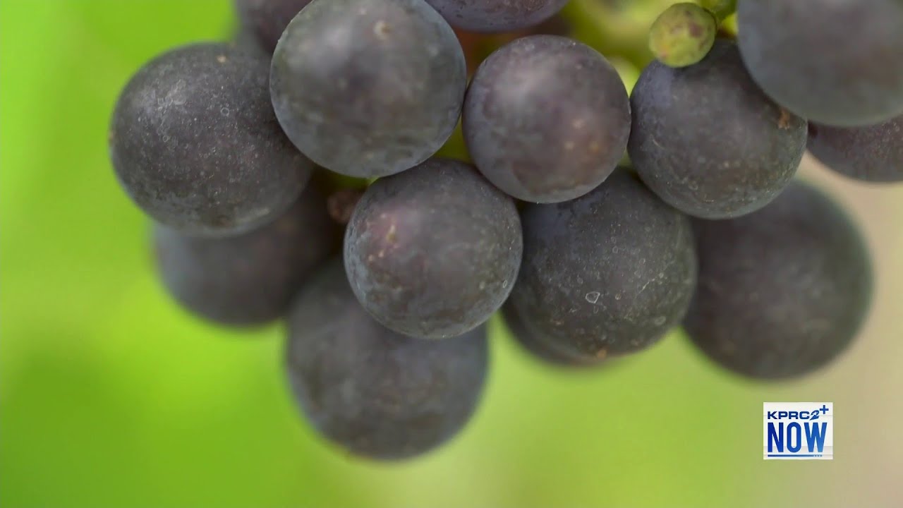 Got Any New Year’s Eve Traditions? We’ll Be Somewhere Under A Table With 12 Grapes At Midnight 🤣 | Houston