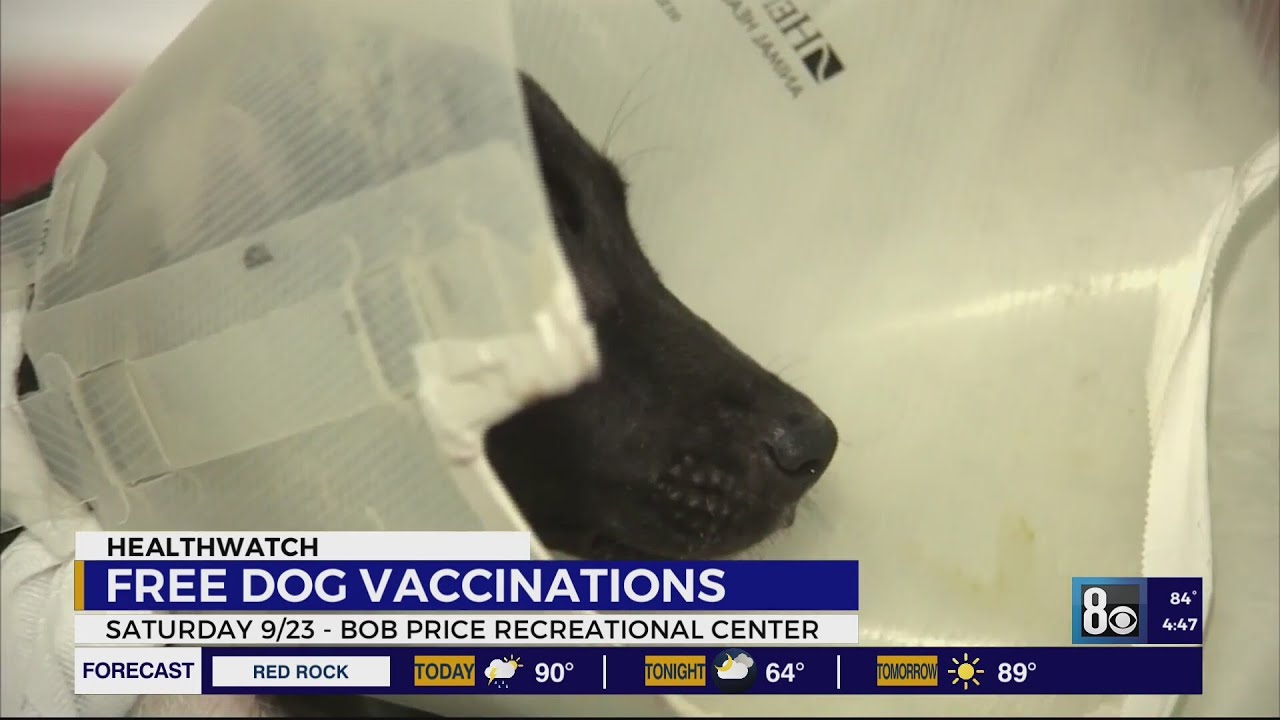 Heaven Can Wait Animal Society To Host Clinic Providing Free Dog Vaccinations