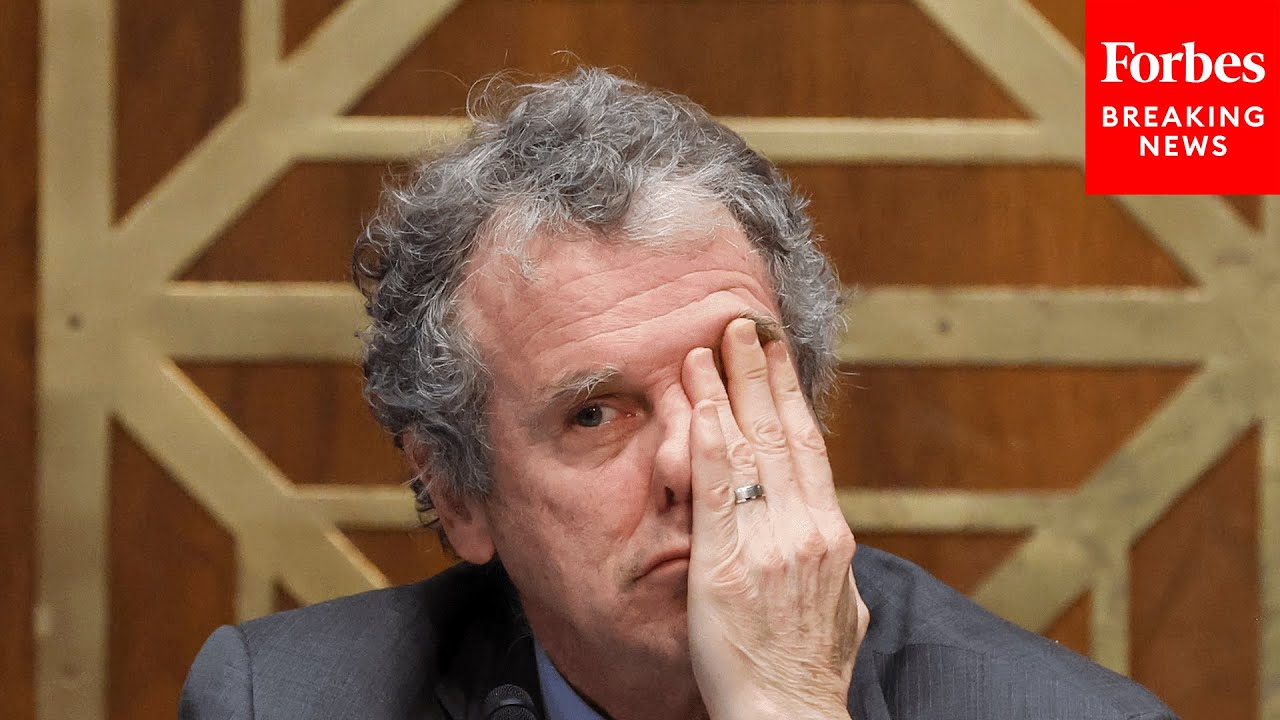 ‘huge Cost In So Many Ways’: Sherrod Brown Laments Impact Of Climate Change On Insurance Markets