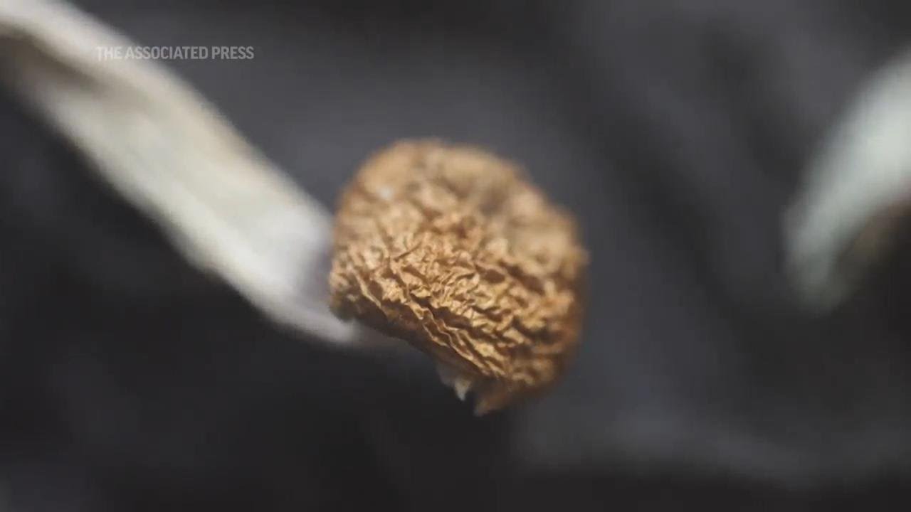 Inside Oregon’s New Magic Mushroom Industry | Ap