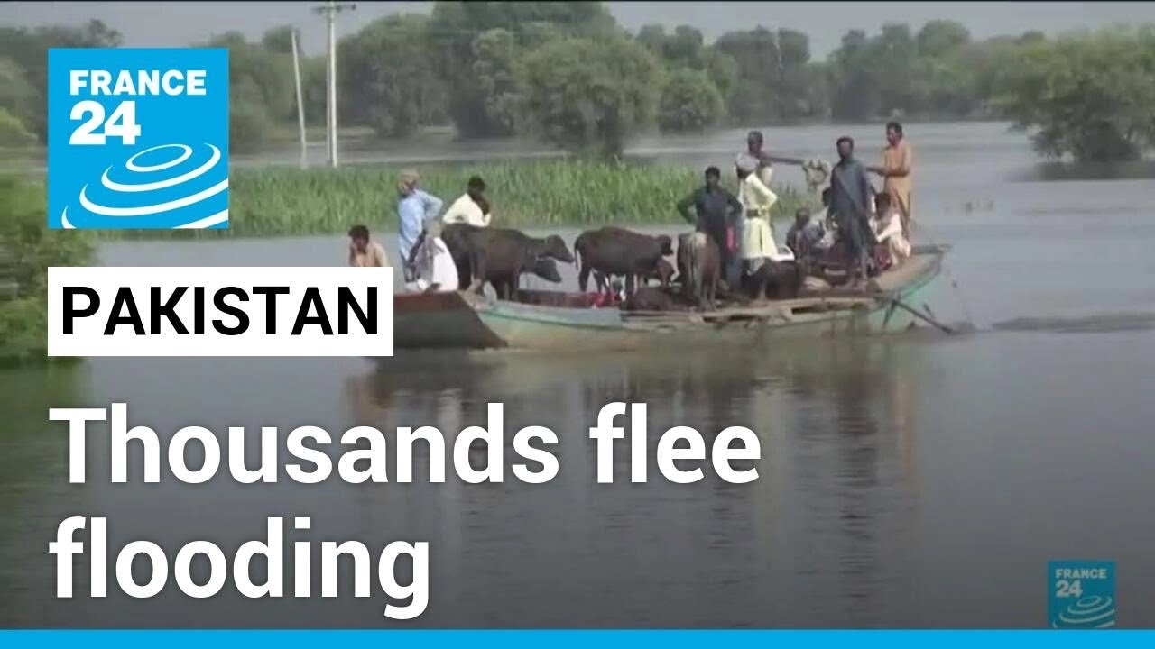 People Scramble To Flee From Worst Pakistan Flooding In Decades • France 24 English