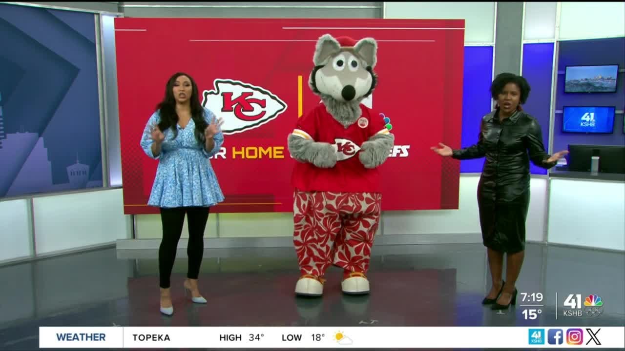 Kc Wolf Is Ready For Saturday’s Chiefs Dolphins Game