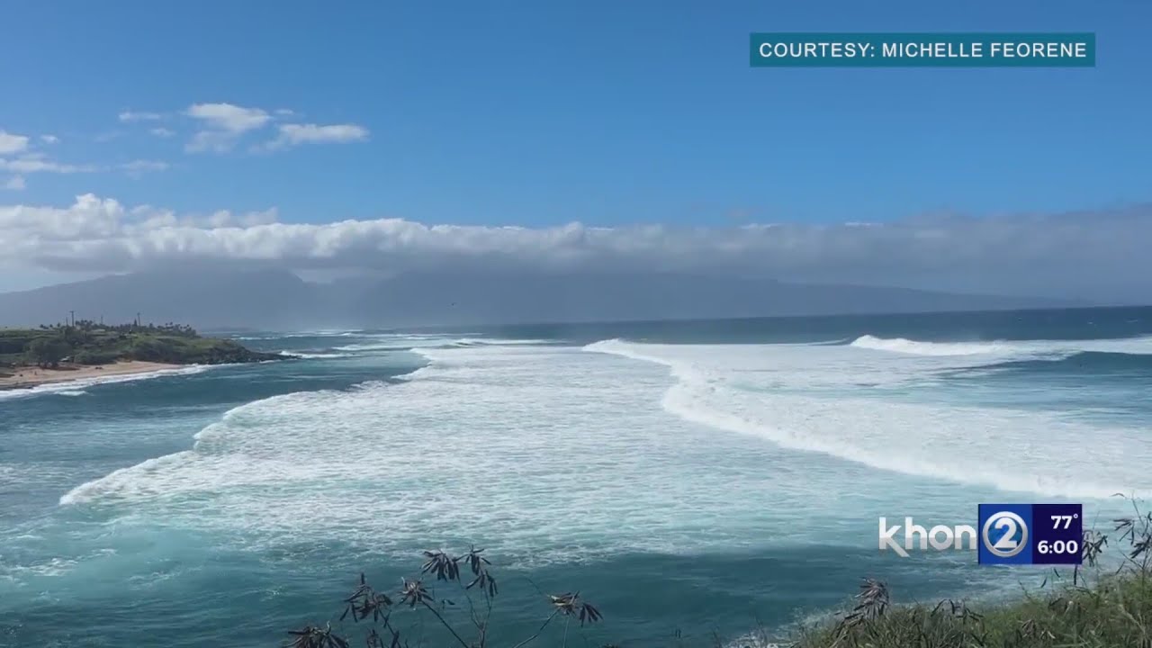 Maui Man Dead After Shark Encounter