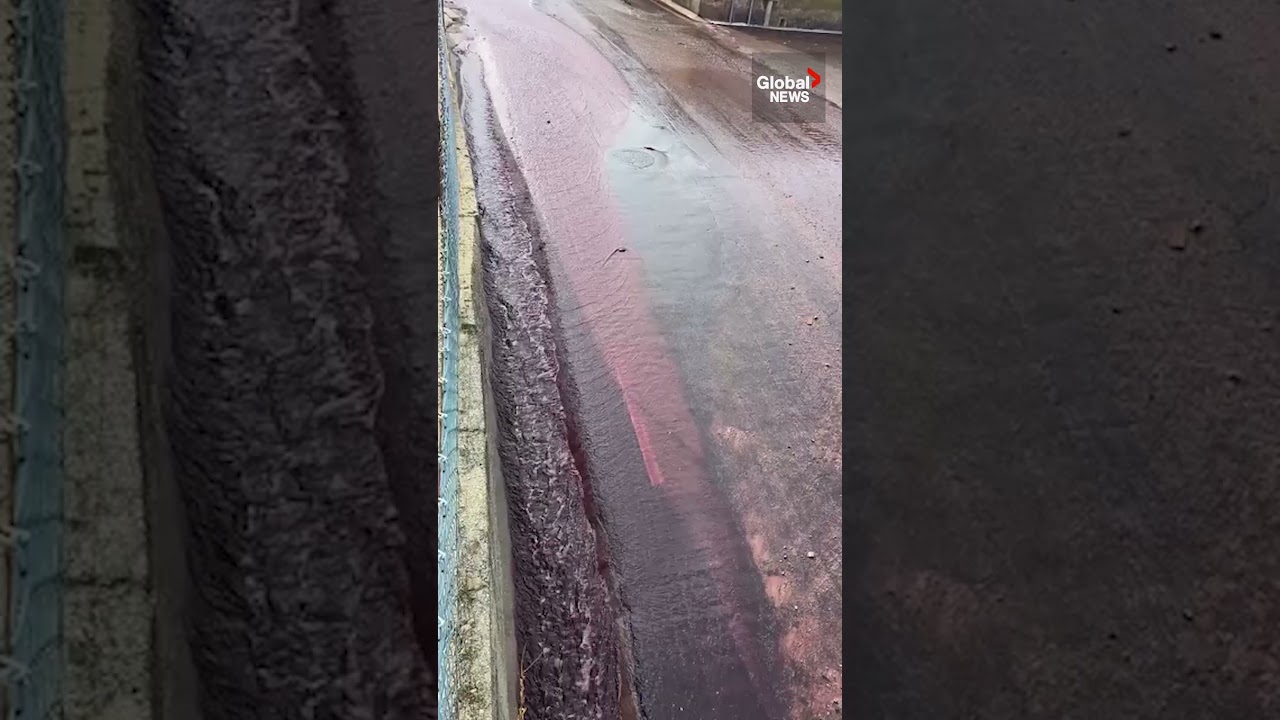 River Of Red Wine Flows Down Road In Portugal