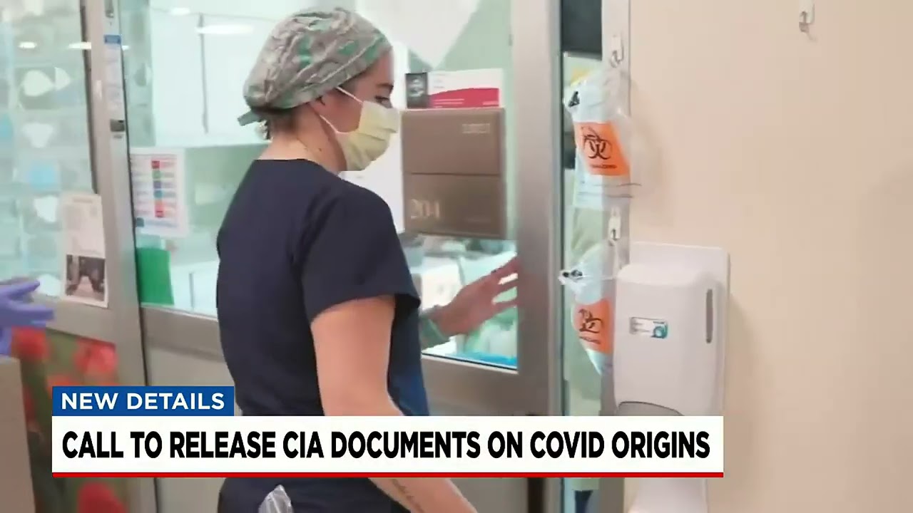 S.c. Senator Requests Cia Docs After Whistleblower Claims Covid Lab Leak Coverup