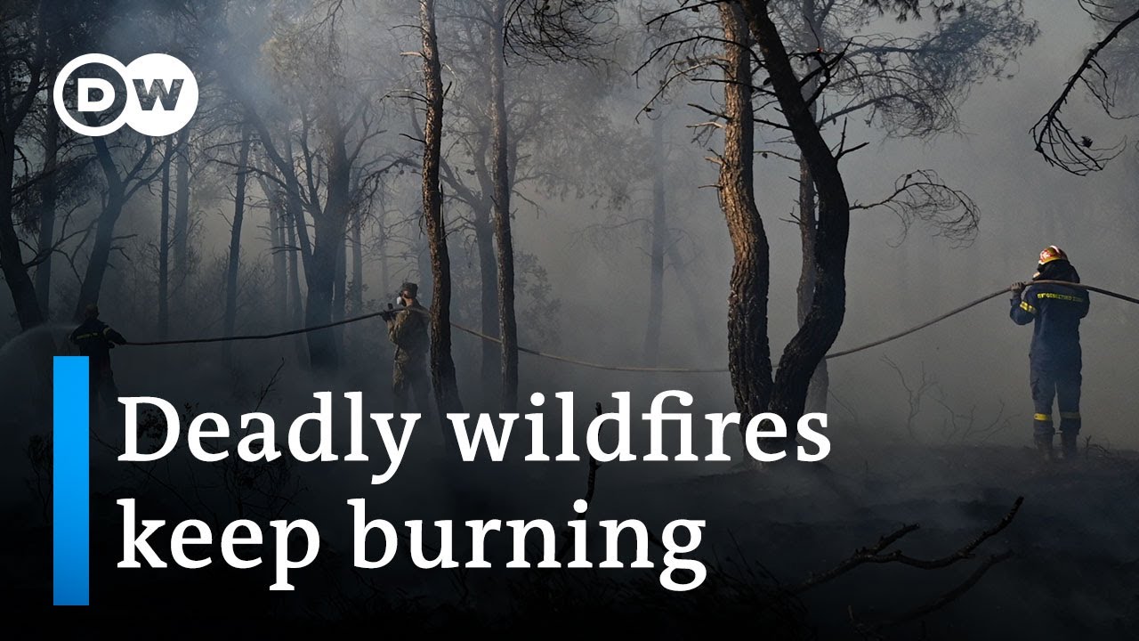 Largest Wildfire In Eu This Year Has Burned 700 Square Kilometers | Dw News