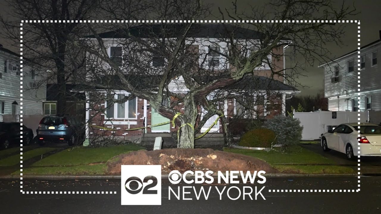 Strong Winds Topple Tree Onto Front Of Home On Staten Island