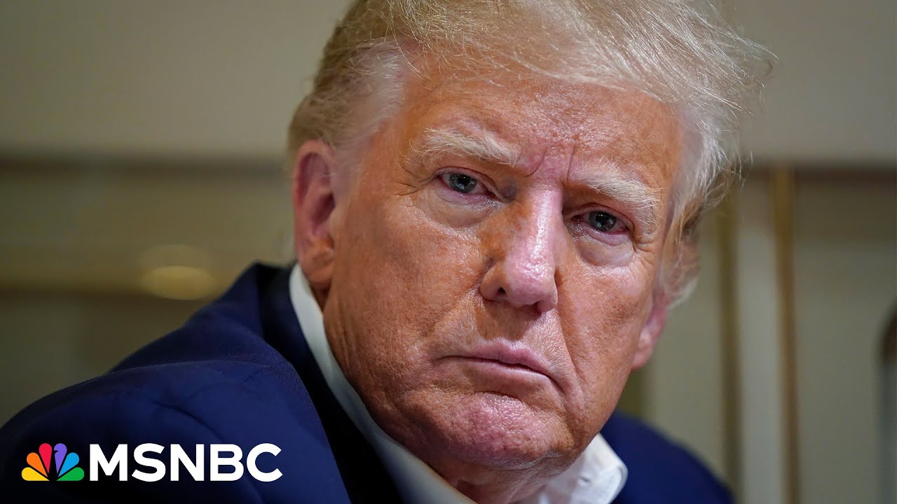 ‘there Was Profound Skepticism’: Trump Appears In Appeals Court | Msnbc