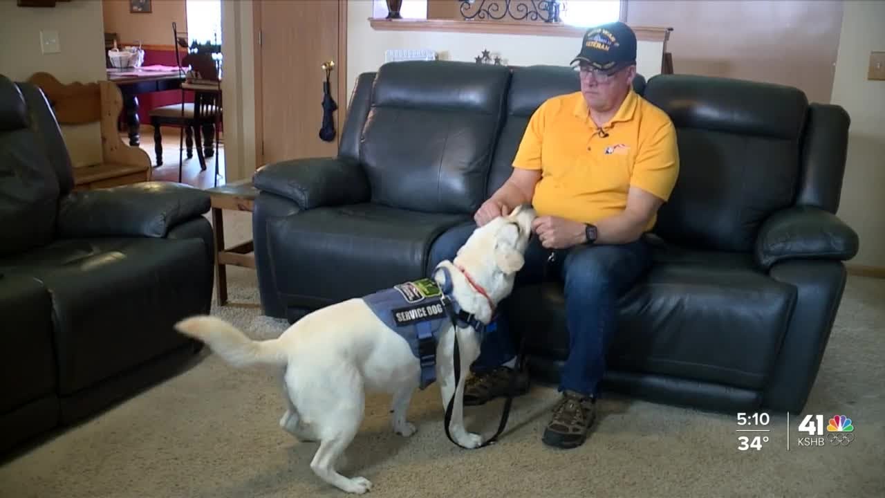 Veteran Explains How Service Dog, Retrieving Freedom Changed His Life