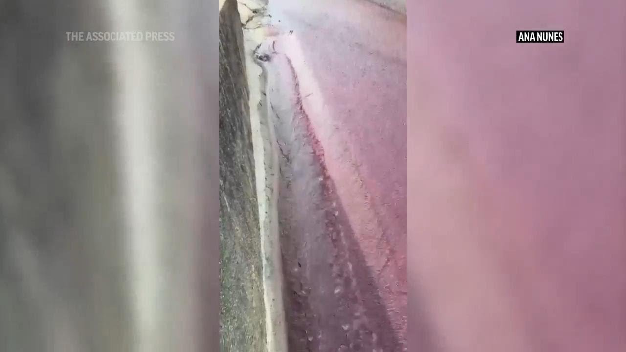 Wine Flows Through Streets Of Portuguese Village As Distillery’s Tanks Burst | Ap